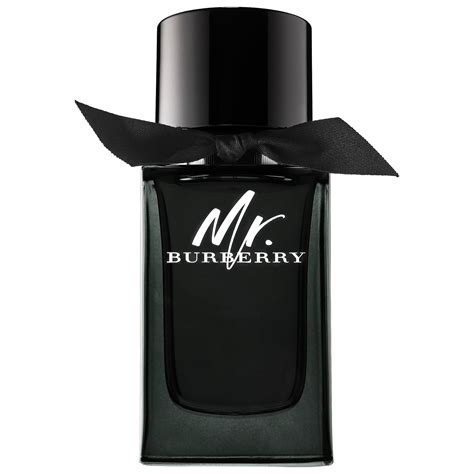 mister burberry perfume|where to buy mr burberry.